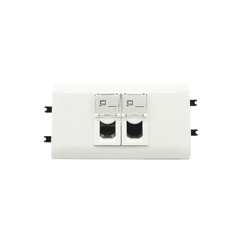 Pipeline Panel with 2pcs 45x22.5mm Face Plate French New Type